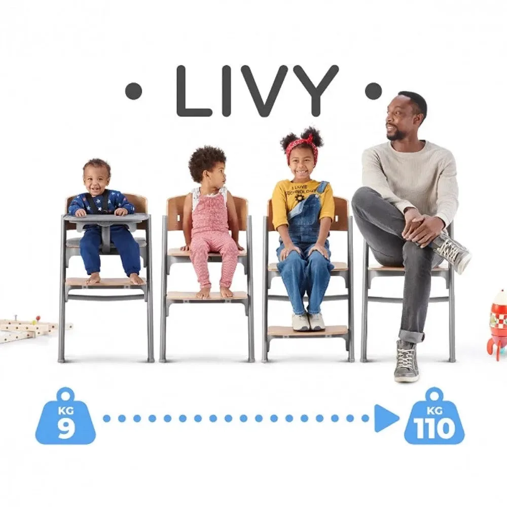 Kinderkraft Livy 4 in 1 Highchair