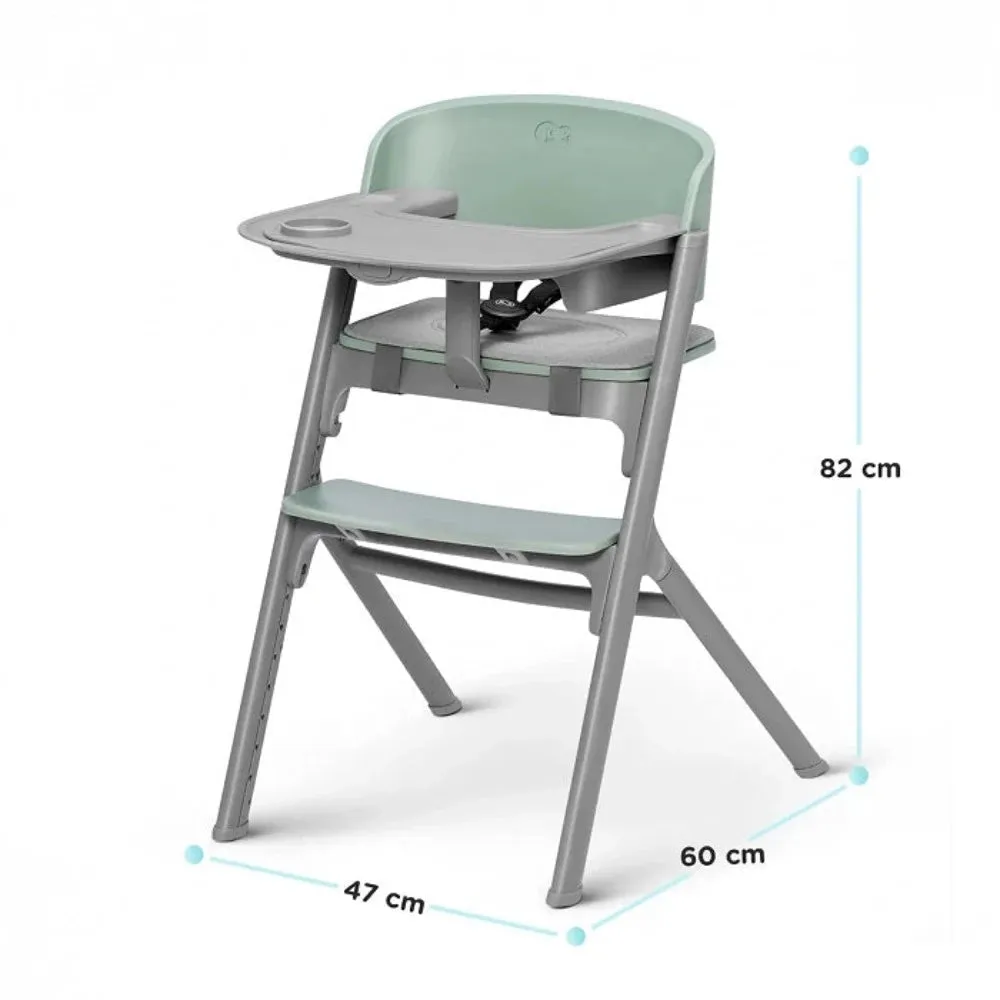 Kinderkraft Livy 4 in 1 Highchair