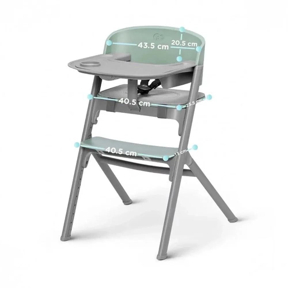Kinderkraft Livy 4 in 1 Highchair
